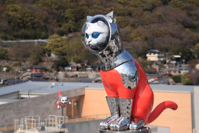 SHIP’S CAT (Boarding)