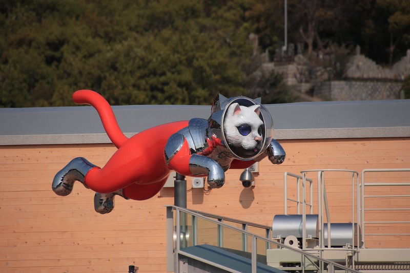 SHIP’S CAT (Jumping)