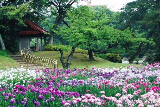 あす楽対応】 岡山後楽園 名古屋城 栗林公園 小学館 バインダーあり